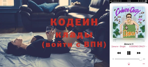 соль ск Каменногорск