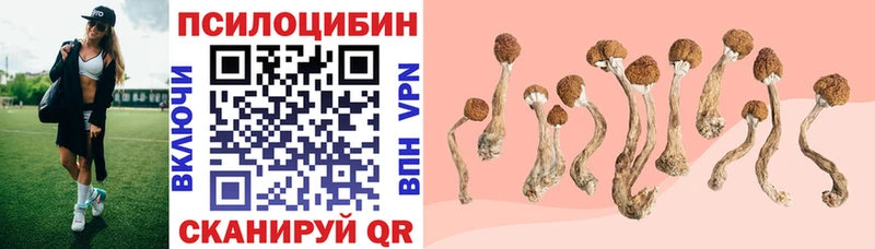 Псилоцибиновые грибы мухоморы  Нестеровская 